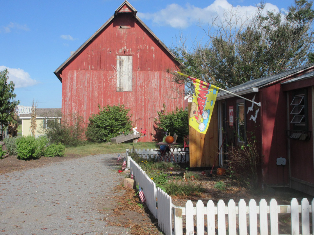 Milton旅游景点-Dawn's Country Market