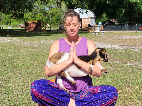 Bell Family Farm And Apiary