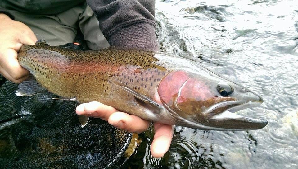 Yosemite Outfitters-优胜美地国家公园必去景点