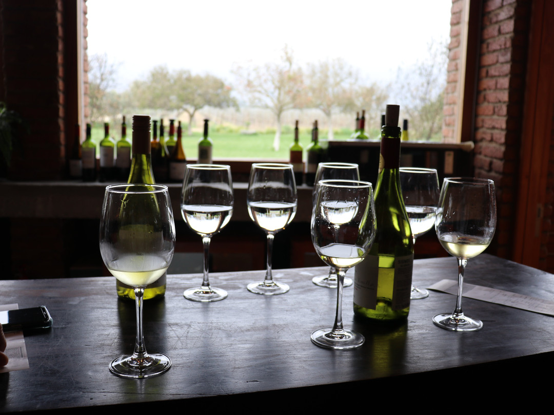 MM Tours and Travels-圣地亚哥必去景点