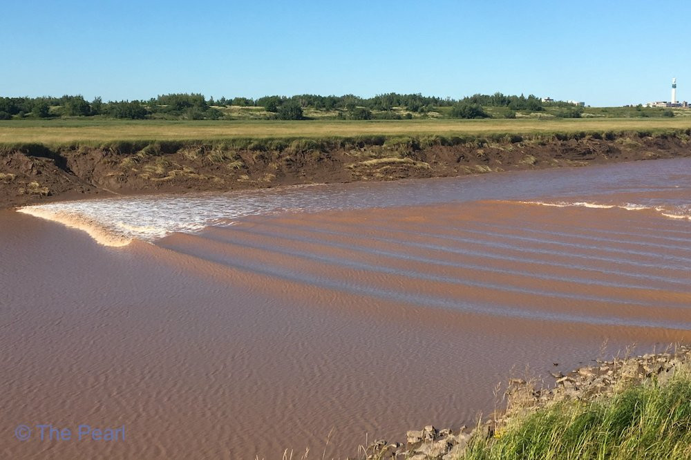 Tidal Bore-蒙古顿必去景点