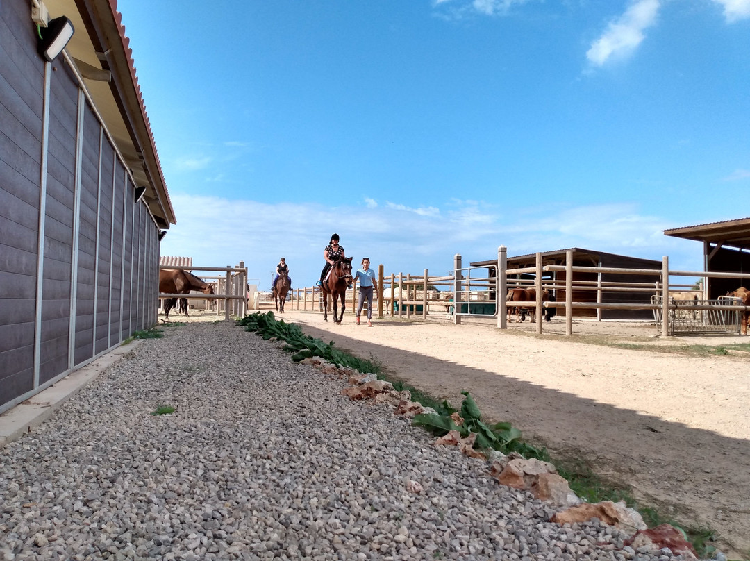 Menorca Horse Riding景点图片