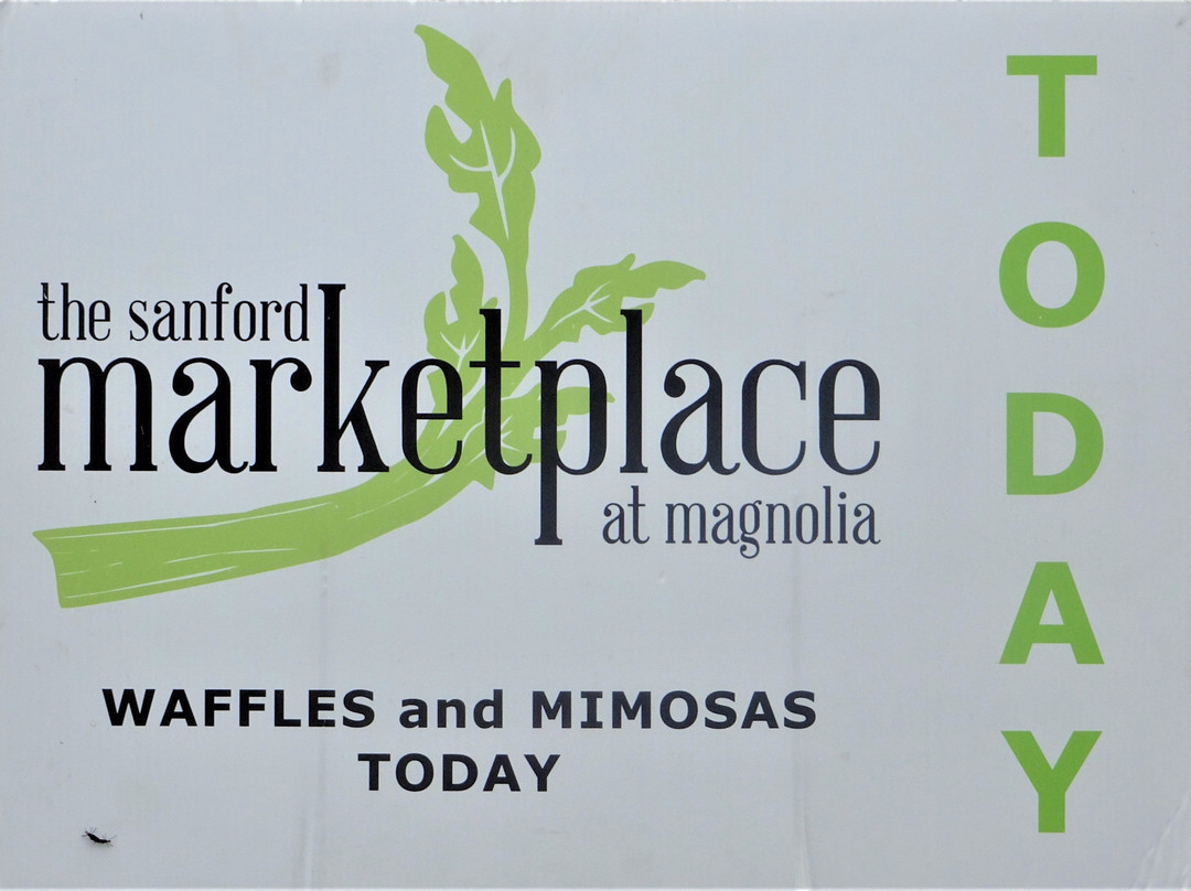 Ritz Theater at the Wayne Dench Performing Arts Center-桑福德必去景点