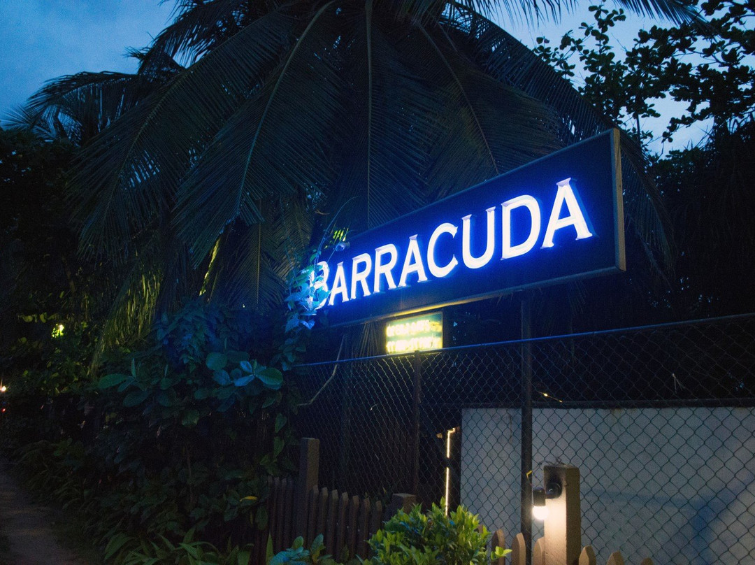 拉非尼亚山餐馆和美食-Barracuda Seafood & Grill