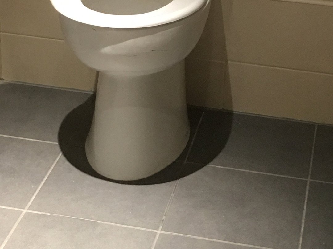 卢顿希尔顿花园酒店主图