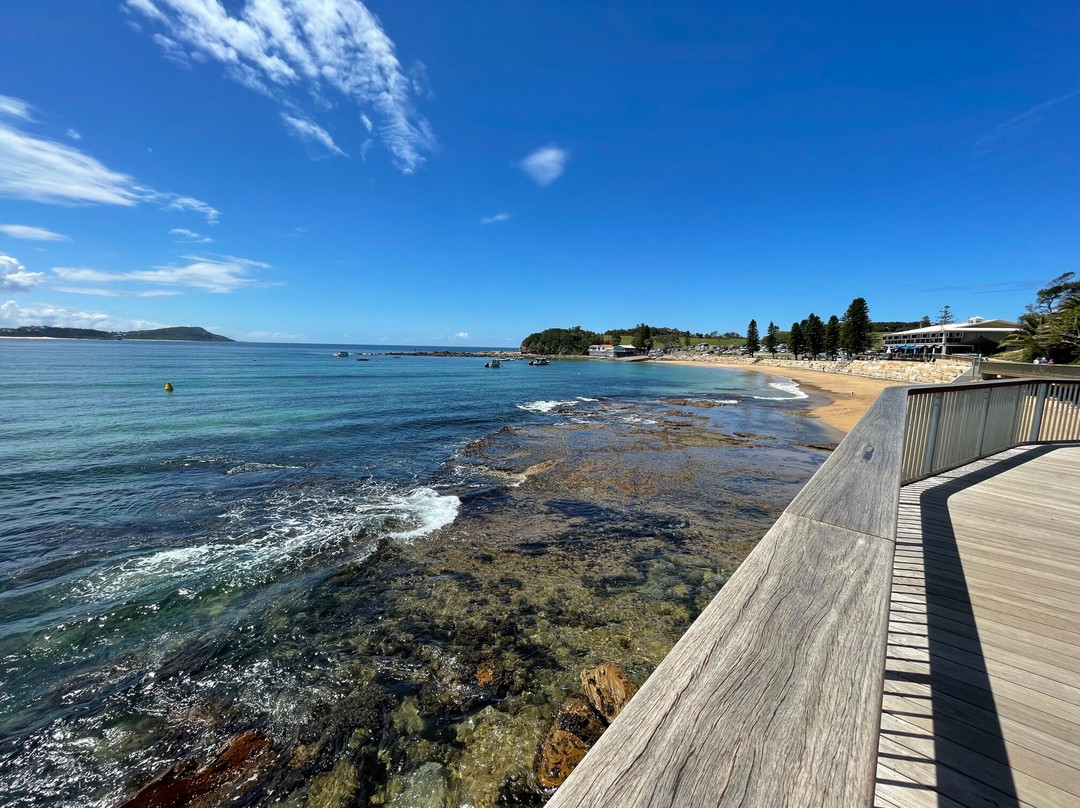 Terrigal Boardwalk景点图片