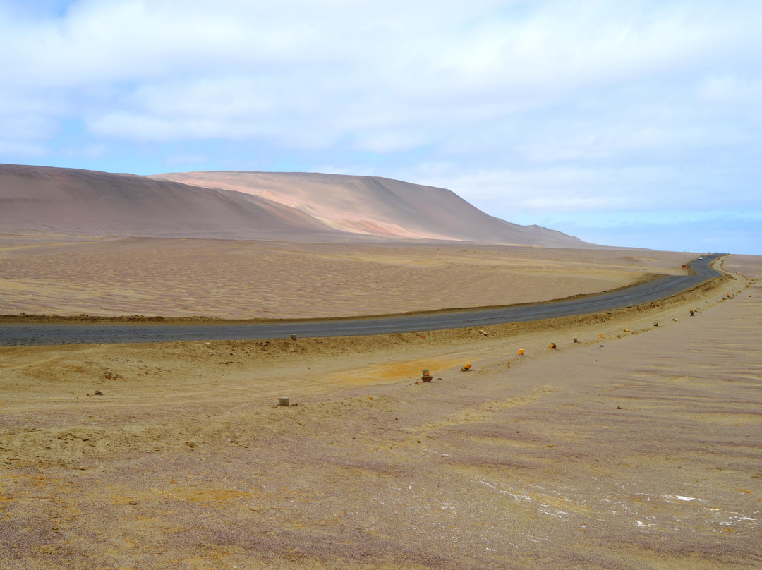 Paracas National Reserve景点图片