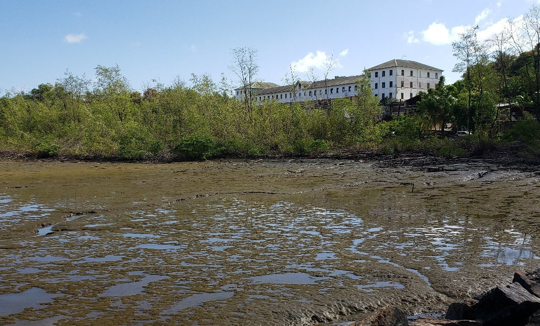 Vieux Port-卡宴必去景点