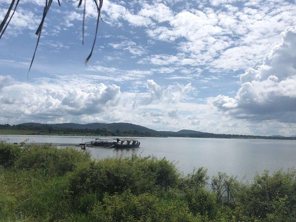 Evolve Back, Kabini主图