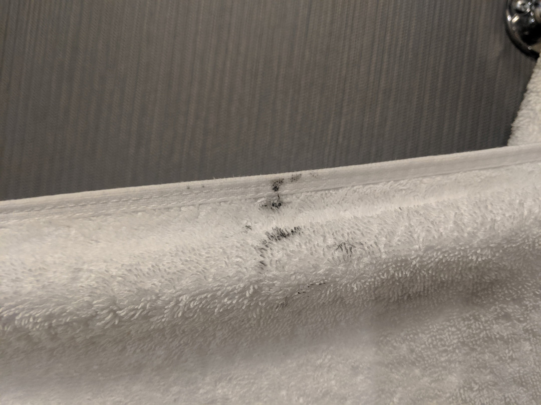 Envision Hotel Boston-Everett主图