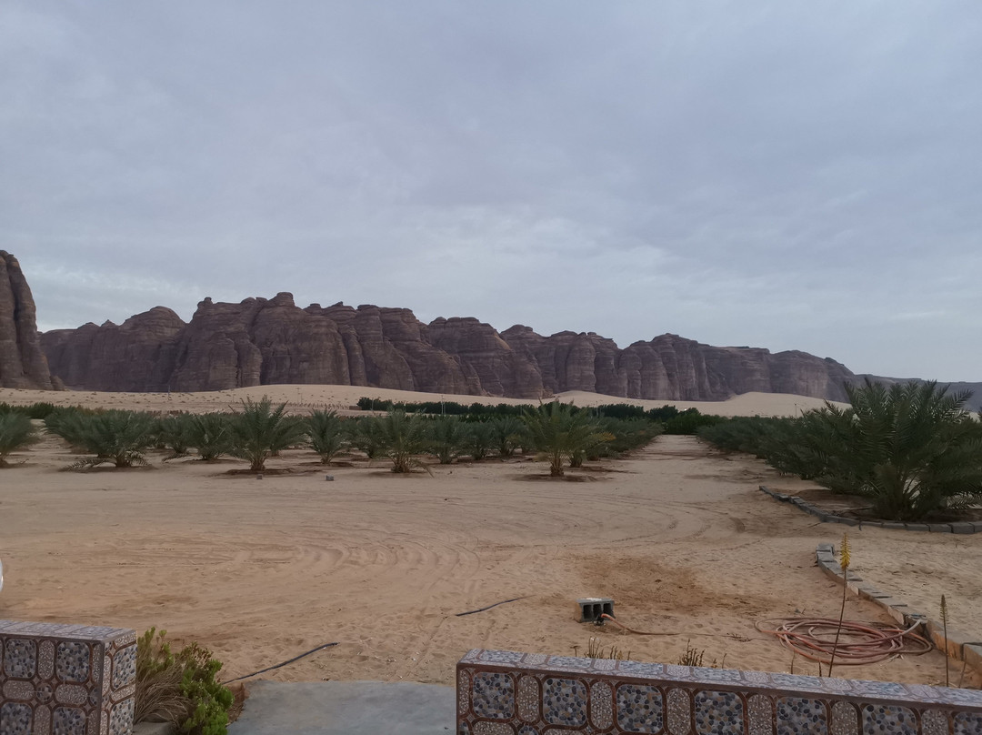 AlUla Museum-AlUla必去景点