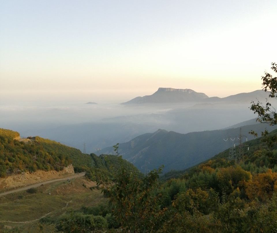 Abr Forest景点图片