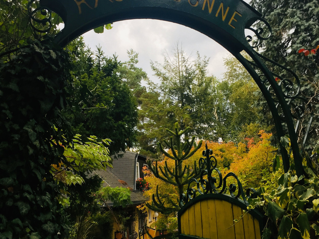 Häuserl im Wald主图