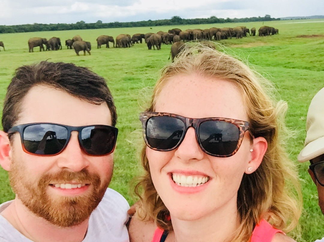 Minneriya National Park Elephant Watching Jeep Safari-哈巴拉娜必去景点