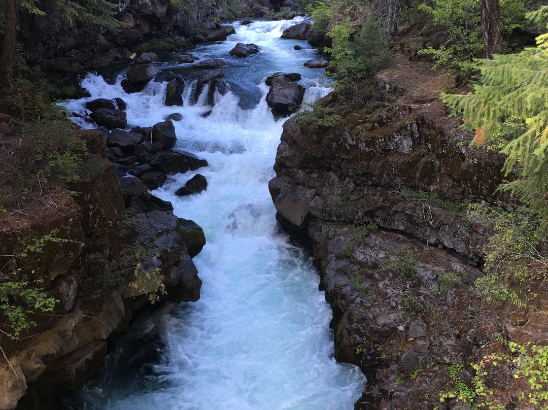 Natural Bridge Viewpoint-Prospect必去景点