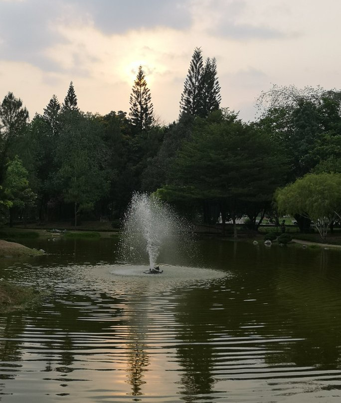 Taman D.R Seenivasagam-怡保必去景点