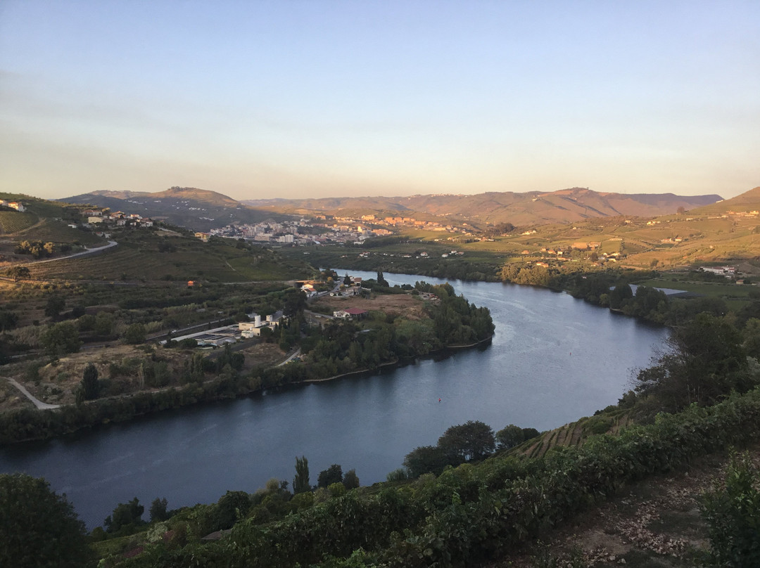Delfim Douro Hotel主图