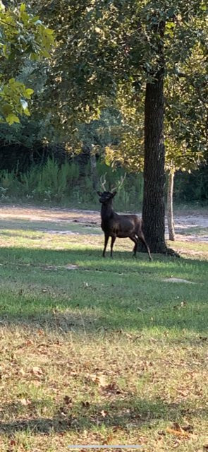 Camp Tonkawa Springs-Garrison必去景点