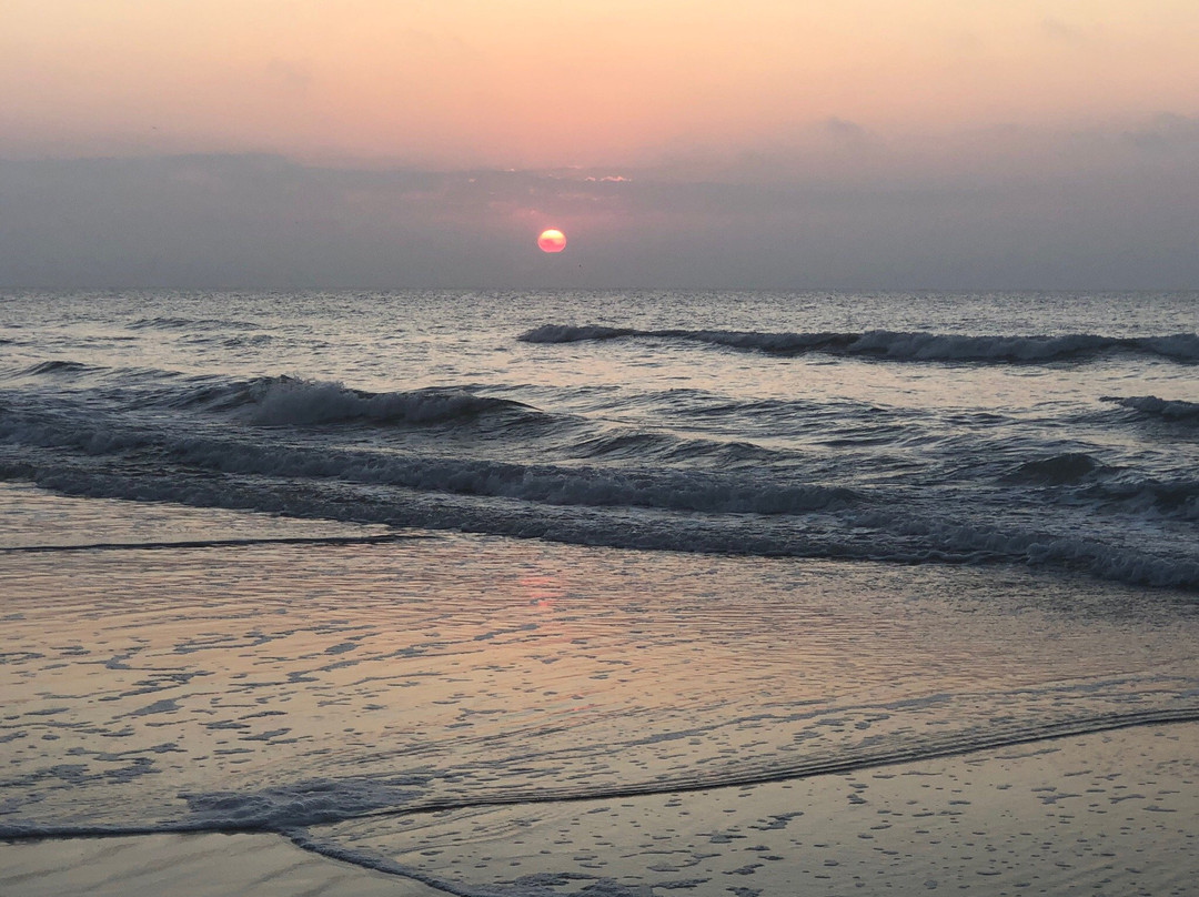 Litchfield Beach-Litchfield Beach必去景点