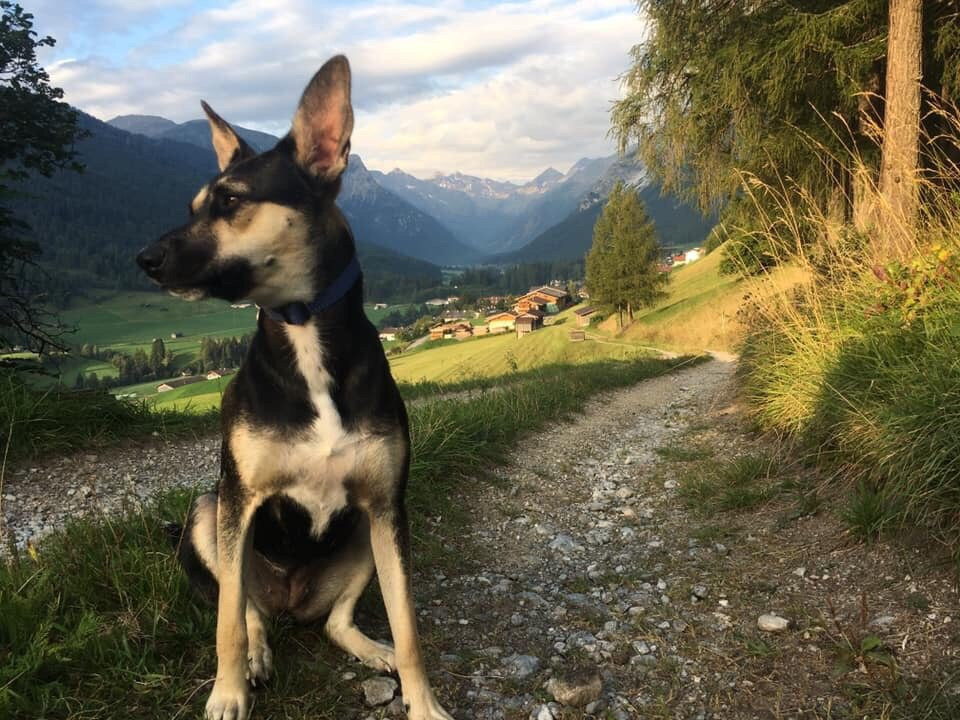 Hotel Trinserhof主图