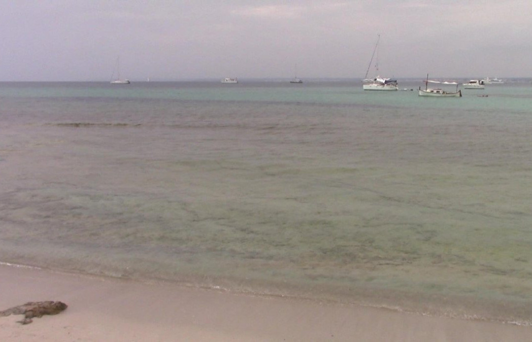 Platja Es Peregons-Campos必去景点