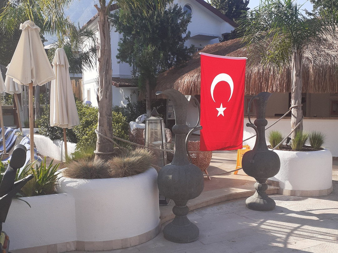 Pinehill Hotel and Suites