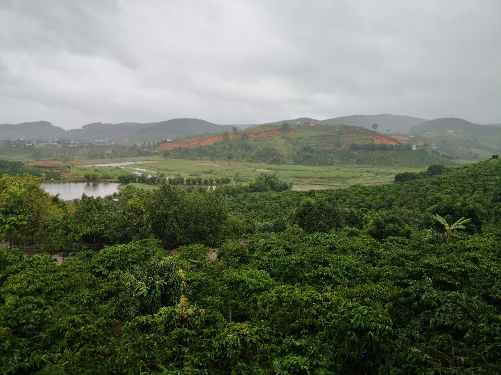 正宗家庭民宿主图