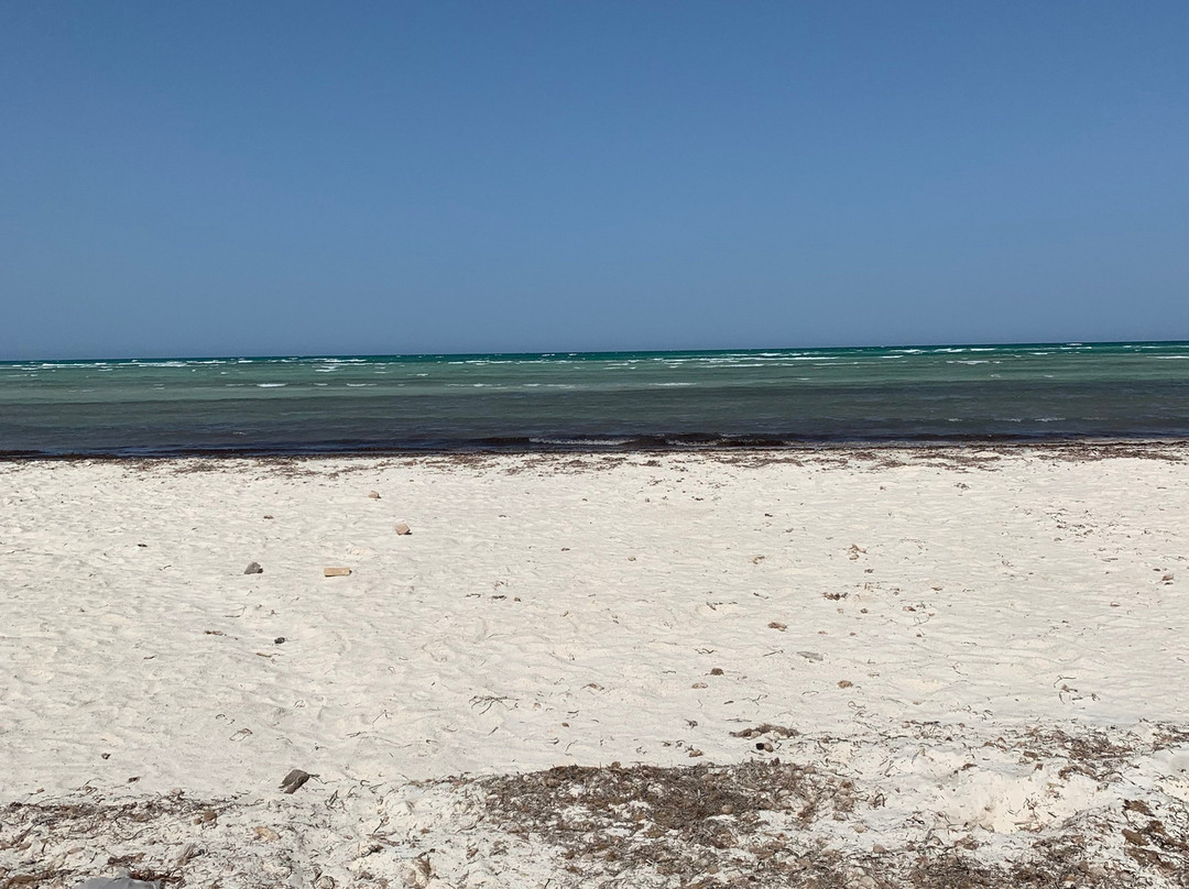 Zarziskite-Zarzis必去景点