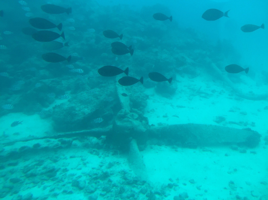 Saipan Submarine景点图片