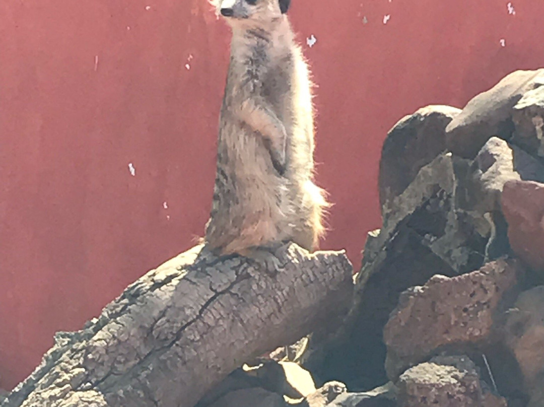 Emerald Animal World-范德毕玖帕克必去景点