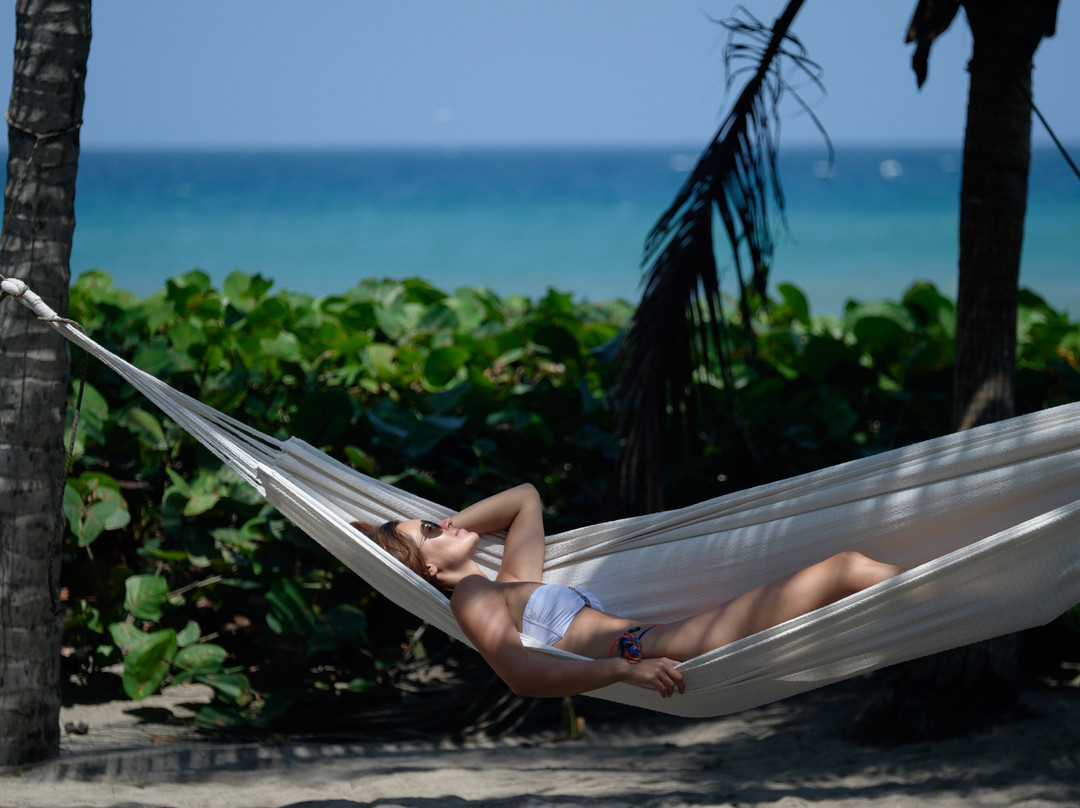 Tayrona Tented Lodge主图