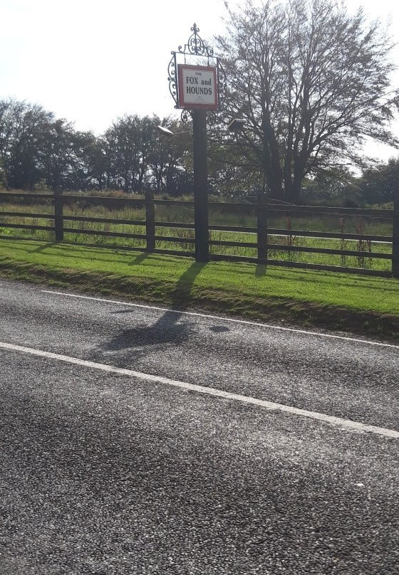 狐狸与猎犬酒店主图