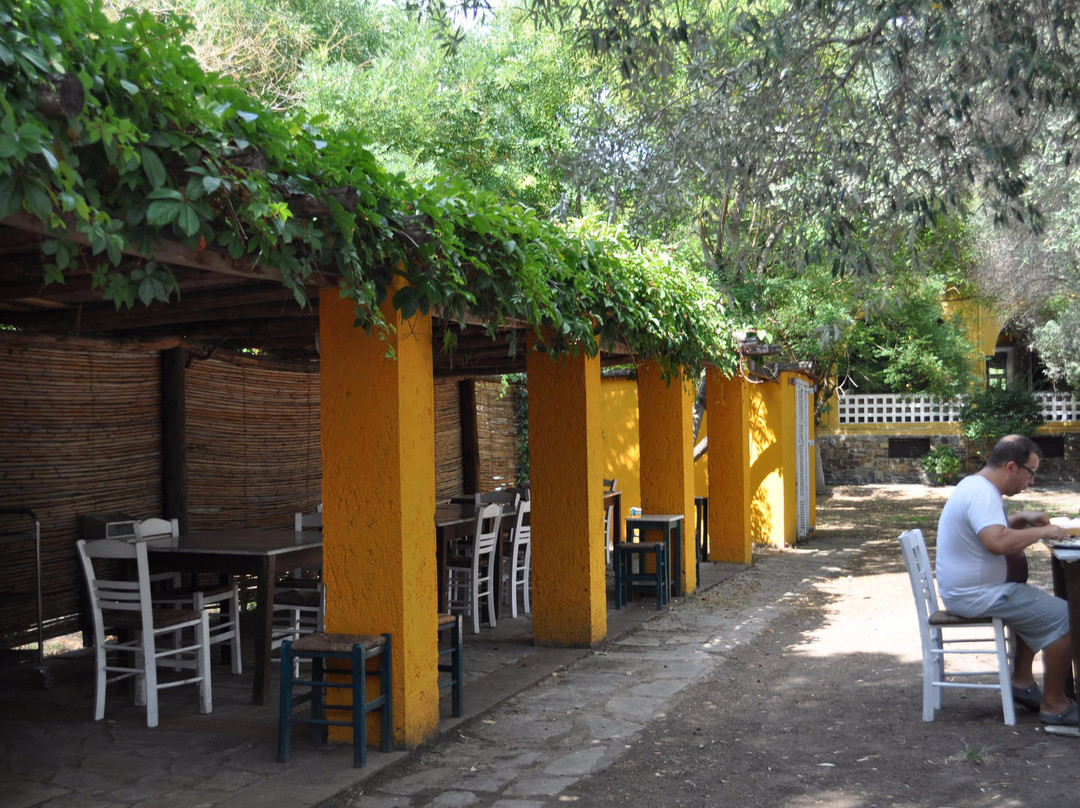 Hotel Despotiko主图