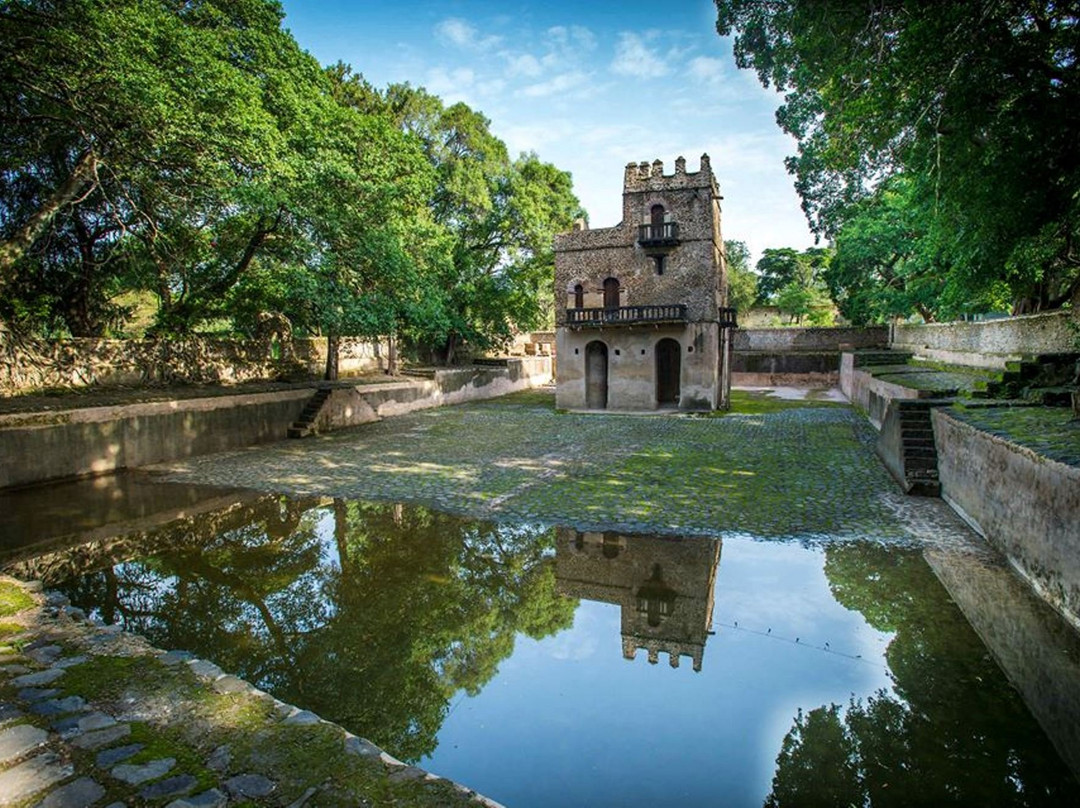 Addis Ethiopia Tours景点图片