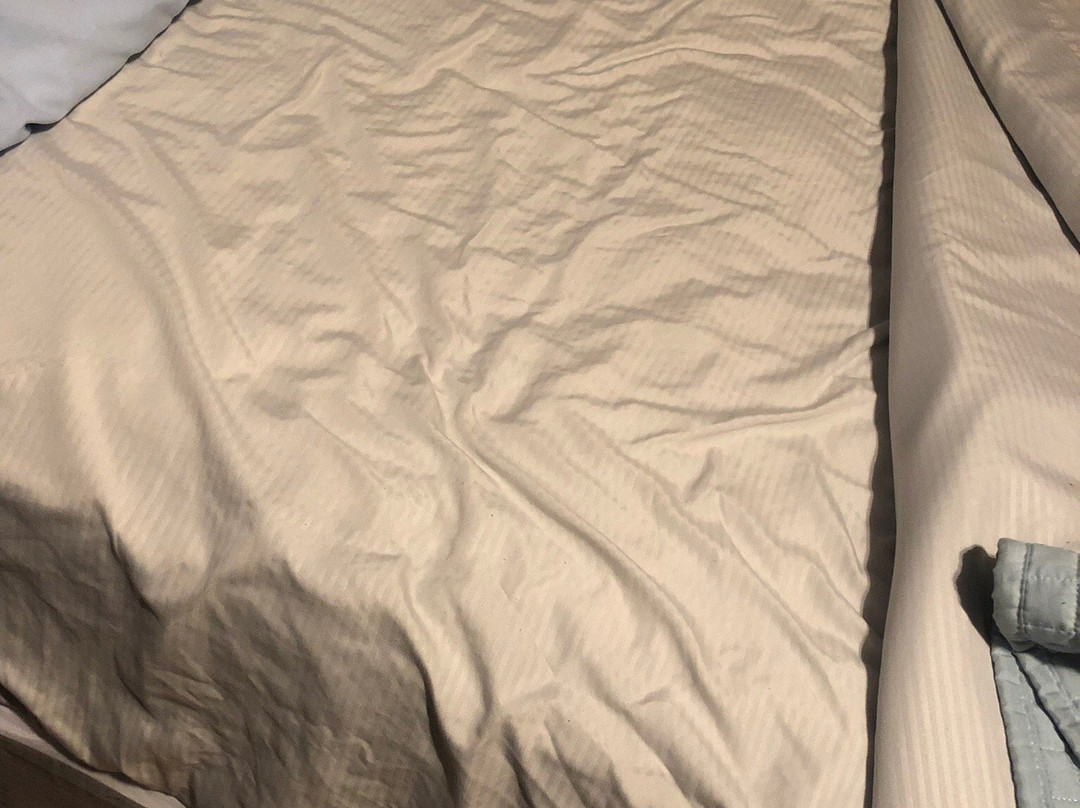 Buona Sera Inn主图