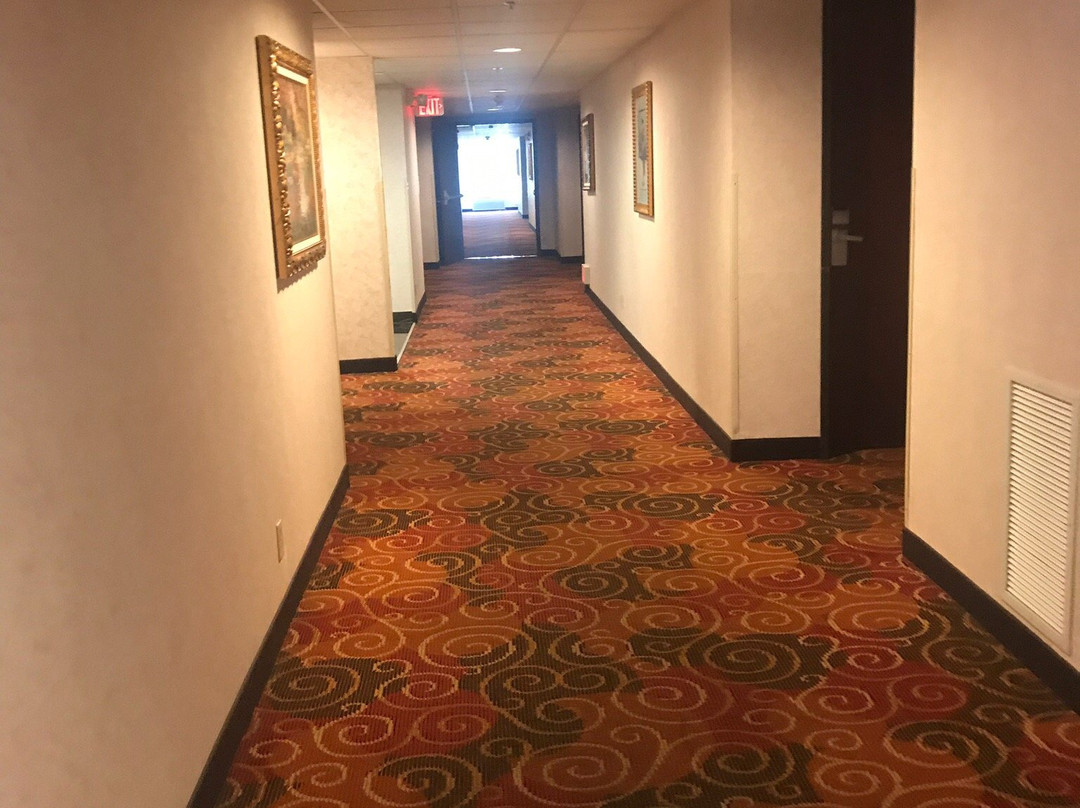 Comfort Suites Corvallis主图