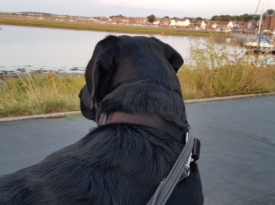 Wells Harbour Railway-Wells-next-the-Sea必去景点