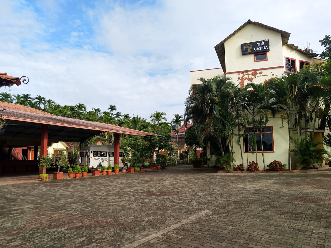 The Casiita主图