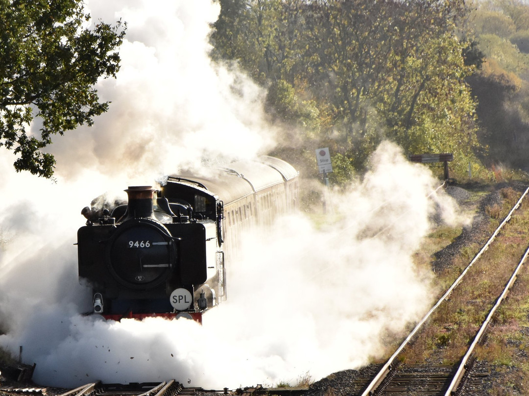 Buckinghamshire Railway Centre景点图片