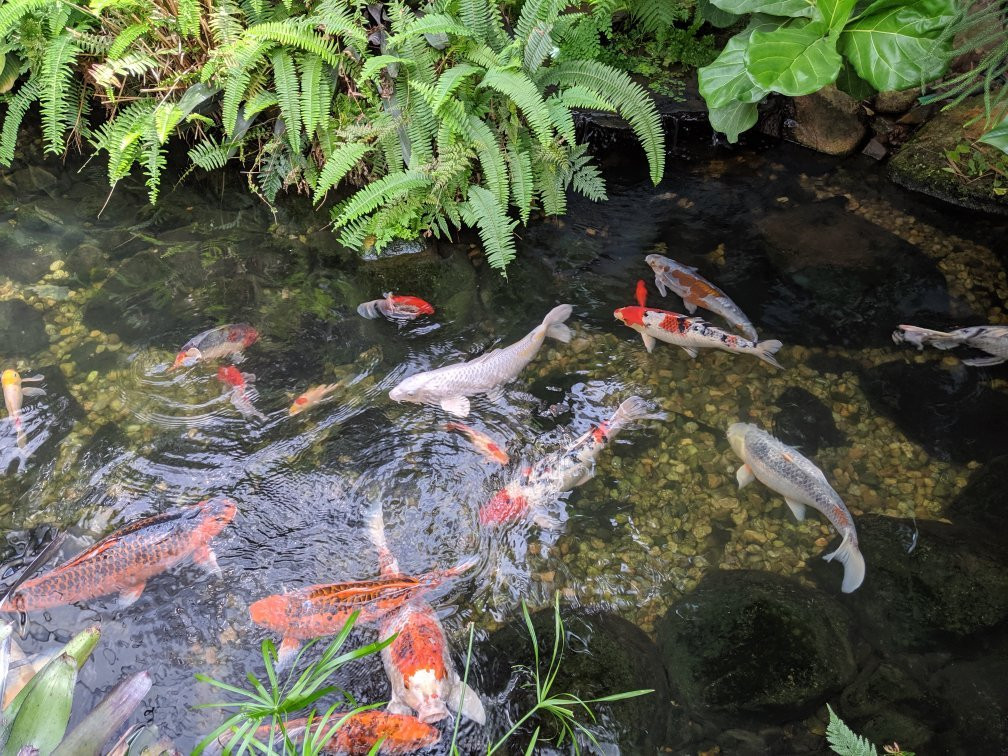 Roger Williams Park-普罗维登斯必去景点