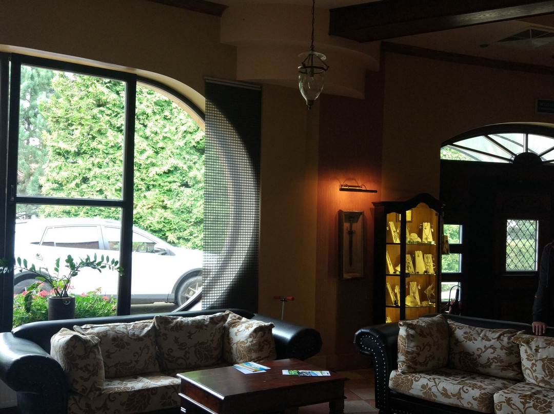Hotel Ognisty Ptak主图
