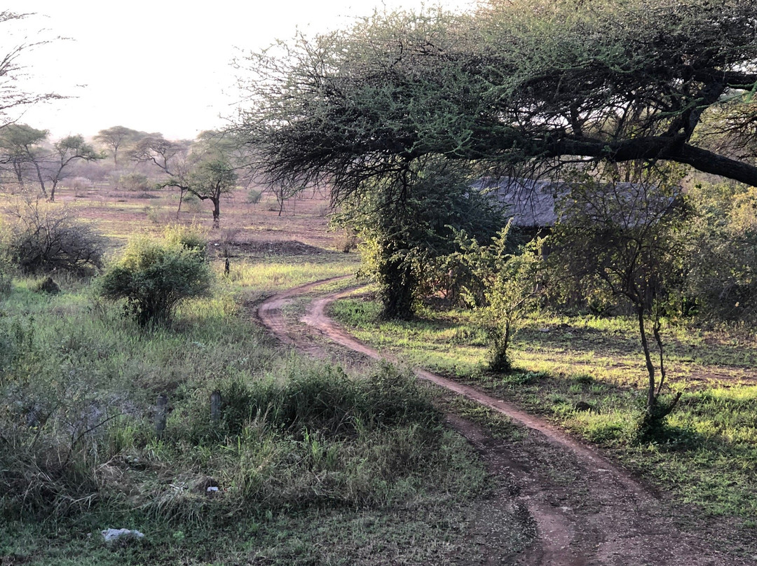 依考玛探险营地山林小屋主图