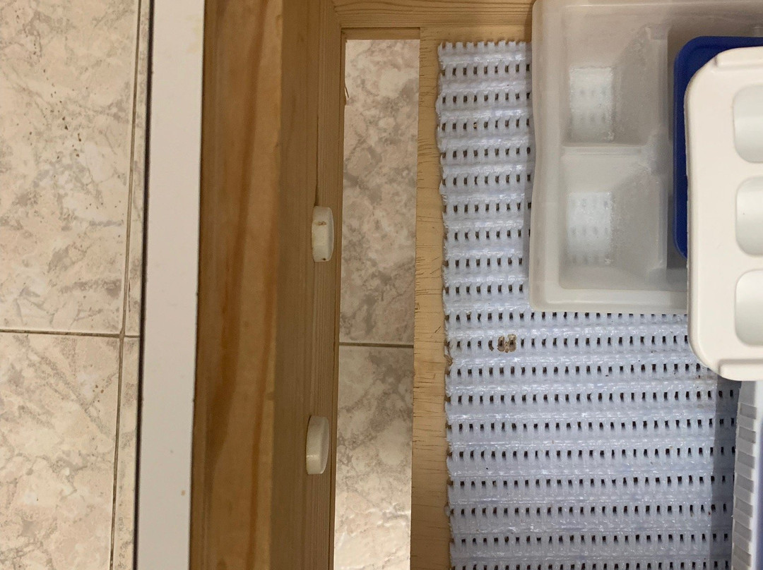 Apartamentos Hamilton Court主图