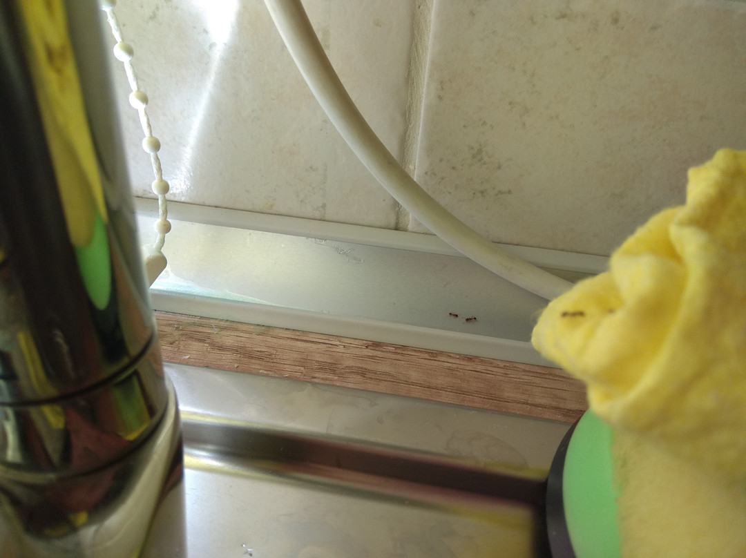 Santa Marina Guesthouse主图