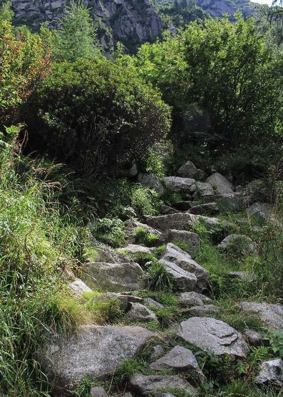 Scale del Miller景点图片