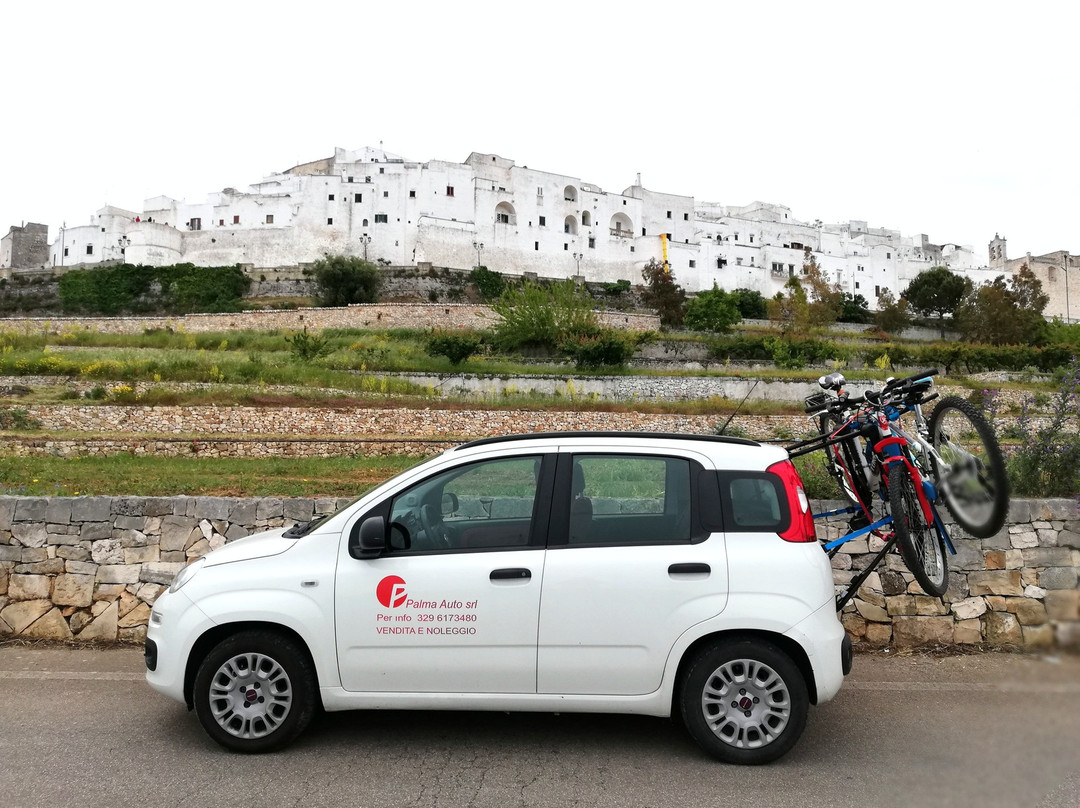 Palma Auto-奥斯图尼必去景点