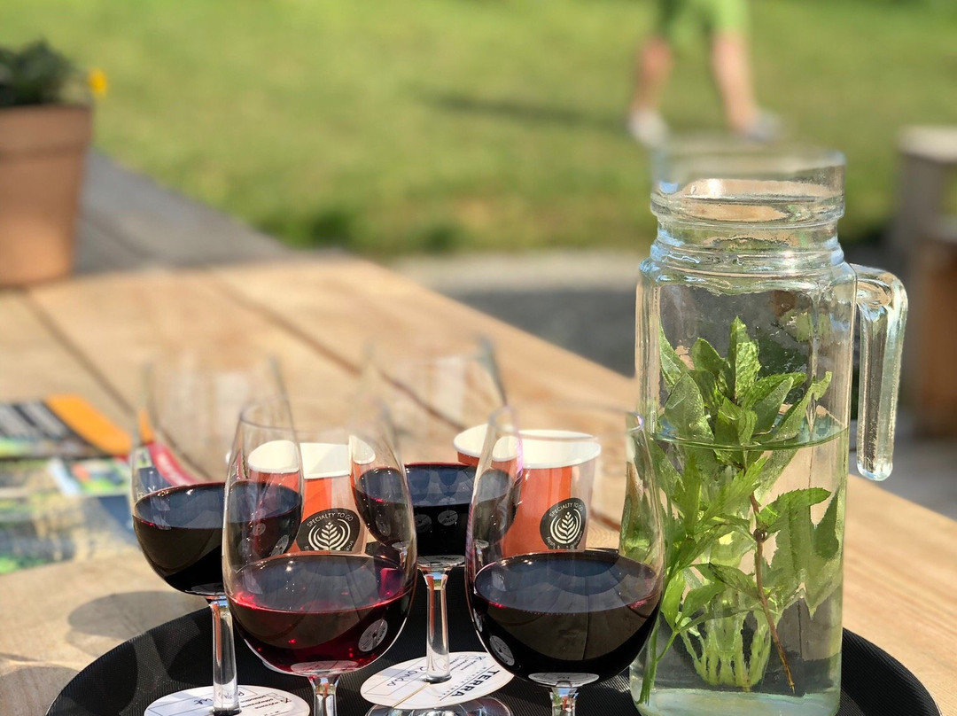 TERRA Winnica Smaku Winery景点图片