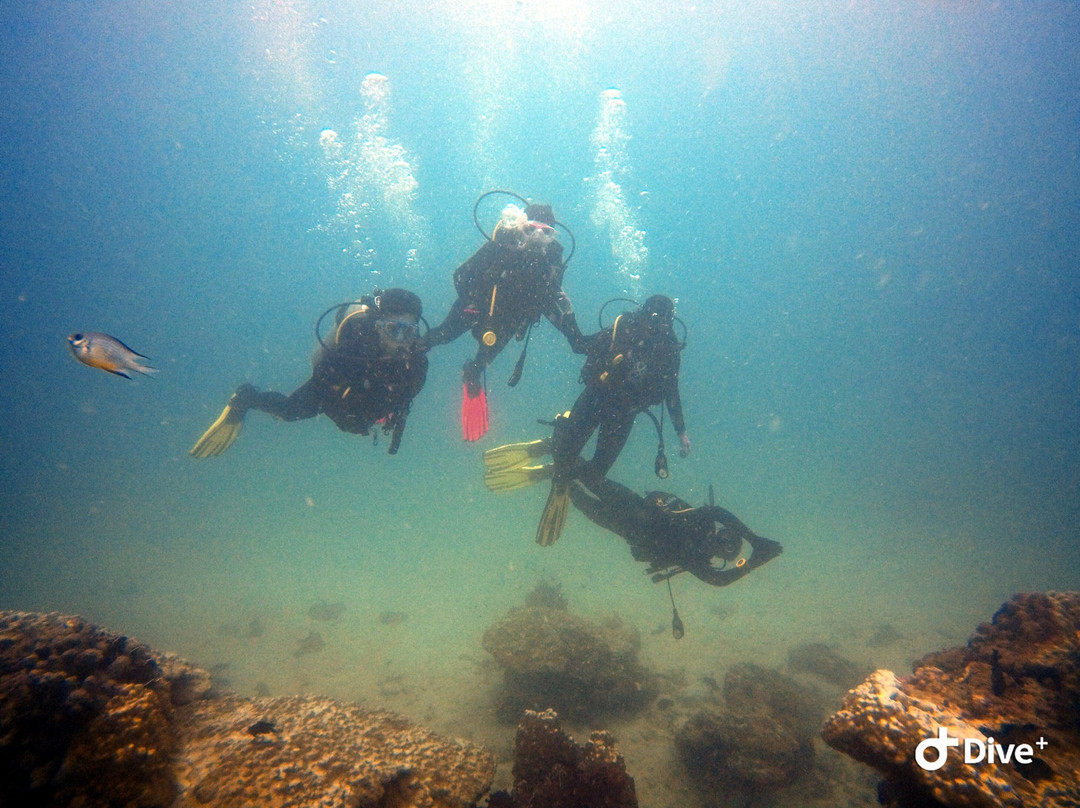 Sea Sight Scuba-小停泊岛必去景点