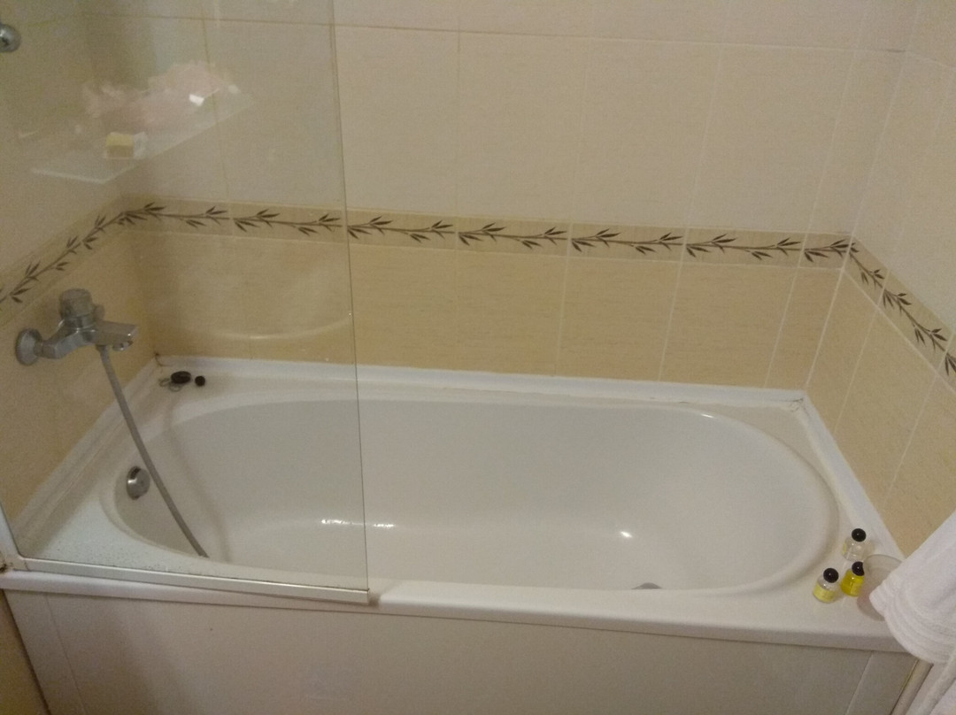 Karpatsky Zori Hotel主图