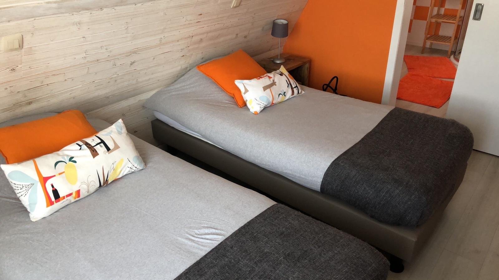 Saffels Nest-官方